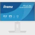 IIYAMA Monitor 21.5" FHD IPS 100Hz podesivo postolje, bijela 